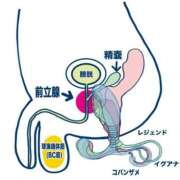 ヒメ日記 2025/06/07 12:22 投稿 樹里 大阪痴女性感フェチ倶楽部