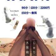 ヒメ日記 2026/04/27 08:02 投稿 樹里 大阪痴女性感フェチ倶楽部