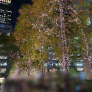 ヒメ日記 2024/12/18 12:48 投稿 若草 えむ SUMIRE