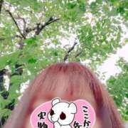 ヒメ日記 2025/05/17 16:29 投稿 若草 えむ SUMIRE