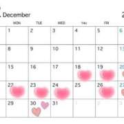 ヒメ日記 2025/12/18 13:37 投稿 若草 えむ SUMIRE