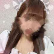 ヒメ日記 2025/04/16 00:40 投稿 くるみ 電車ごっこ