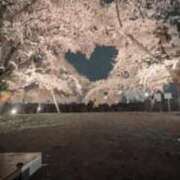 ヒメ日記 2025/05/22 18:08 投稿 雪村　さなみ エテルナ京都