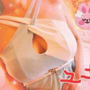 ヒメ日記 2025/07/06 10:00 投稿 雪村　さなみ エテルナ京都