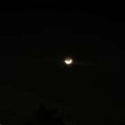 ヒメ日記 2026/01/24 02:49 投稿 ねね 新宿クリスタル