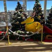 ヒメ日記 2024/12/16 08:01 投稿 りあん 日暮里・西日暮里サンキュー