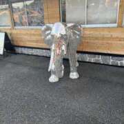 ヒメ日記 2025/02/23 03:51 投稿 りあん 日暮里・西日暮里サンキュー