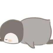 ヒメ日記 2025/04/13 10:16 投稿 橋本かおり ABC 岩手ソープ