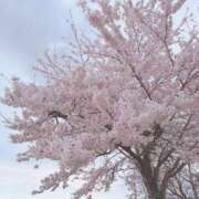 ヒメ日記 2025/04/20 22:31 投稿 橋本かおり ABC 岩手ソープ