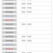 ヒメ日記 2025/05/17 07:16 投稿 橋本かおり ABC 岩手ソープ