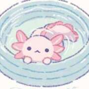 ヒメ日記 2025/08/14 08:01 投稿 橋本かおり ABC 岩手ソープ