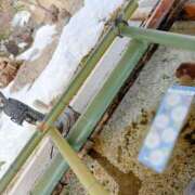 ヒメ日記 2026/02/17 14:46 投稿 橋本かおり ABC 岩手ソープ