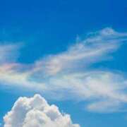 ヒメ日記 2026/03/25 07:46 投稿 橋本かおり ABC 岩手ソープ