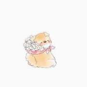 ヒメ日記 2026/04/16 14:46 投稿 橋本かおり ABC 岩手ソープ