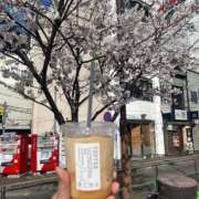 ヒメ日記 2025/04/29 12:02 投稿 ちまき★人妻KISS★ 人妻kiss