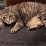 ヒメ日記 2025/09/27 12:02 投稿 ちまき★人妻KISS★ 人妻kiss