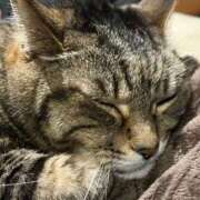 ヒメ日記 2025/12/19 05:24 投稿 ちまき★人妻KISS★ 人妻kiss