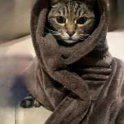 ヒメ日記 2026/02/13 18:03 投稿 ちまき★人妻KISS★ 人妻kiss