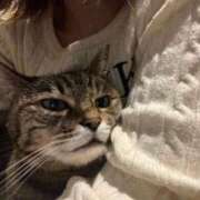 ヒメ日記 2026/04/14 12:03 投稿 ちまき★人妻KISS★ 人妻kiss