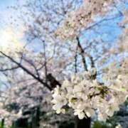 蘭-RAN- しゅ luxury aroma 咲