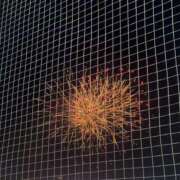 ヒメ日記 2025/08/06 22:44 投稿 りの ごほうびSPA横浜店