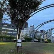 ヒメ日記 2024/12/28 09:42 投稿 まゆこ ル・モンド(福原)