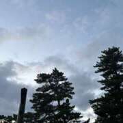 ヒメ日記 2024/12/29 06:12 投稿 まゆこ ル・モンド(福原)