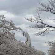 ヒメ日記 2024/12/29 12:22 投稿 まゆこ ル・モンド(福原)