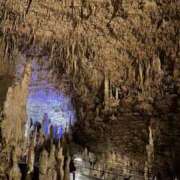 ヒメ日記 2024/12/29 18:32 投稿 まゆこ ル・モンド(福原)