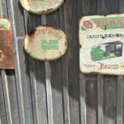 ヒメ日記 2024/12/30 17:02 投稿 まゆこ ル・モンド(福原)