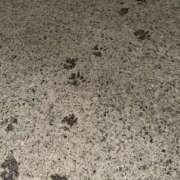 ヒメ日記 2025/01/02 05:52 投稿 まゆこ ル・モンド(福原)