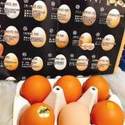 ヒメ日記 2025/01/02 17:56 投稿 きりん ミラクル☆ハニー