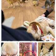 ヒメ日記 2025/01/19 15:13 投稿 きりん ミラクル☆ハニー