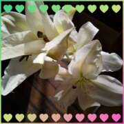 ヒメ日記 2025/01/22 10:07 投稿 あきな 町田人妻浮気現場