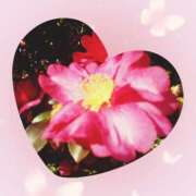 ヒメ日記 2025/01/24 08:37 投稿 あきな 町田人妻浮気現場