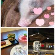 ヒメ日記 2025/02/21 17:21 投稿 なつほ ももいろワイフ(久喜)