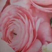 ヒメ日記 2025/03/02 02:07 投稿 なつほ ももいろワイフ(久喜)