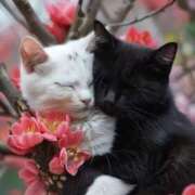 ヒメ日記 2026/03/14 09:22 投稿 なつほ ももいろワイフ(久喜)