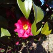 ヒメ日記 2025/02/26 09:07 投稿 ちえみ かわいい熟女＆おいしい人妻 町田店