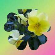 ヒメ日記 2025/02/28 15:51 投稿 ちえみ かわいい熟女＆おいしい人妻 町田店