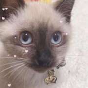 ヒメ日記 2025/01/18 15:39 投稿 あゆ buzz-B