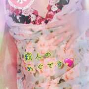 ヒメ日記 2024/12/22 09:19 投稿 内田　めぐ しこたま奥様 札幌店