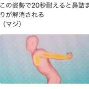 ヒメ日記 2025/01/06 17:45 投稿 内田　めぐ しこたま奥様 札幌店