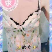 ヒメ日記 2025/01/22 09:09 投稿 内田　めぐ しこたま奥様 札幌店