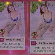 ヒメ日記 2025/02/11 10:25 投稿 内田　めぐ しこたま奥様 札幌店