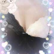 ヒメ日記 2025/04/07 14:36 投稿 内田　めぐ しこたま奥様 札幌店