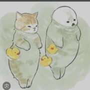 ヒメ日記 2025/02/11 18:49 投稿 えりこ 完熟ばなな神戸・三宮店