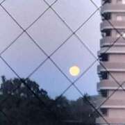 ヒメ日記 2025/02/13 19:48 投稿 えりこ 完熟ばなな神戸・三宮店