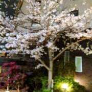 ヒメ日記 2025/04/06 21:08 投稿 えりこ 完熟ばなな神戸・三宮店