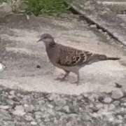 ヒメ日記 2025/05/23 09:33 投稿 えりこ 完熟ばなな神戸・三宮店